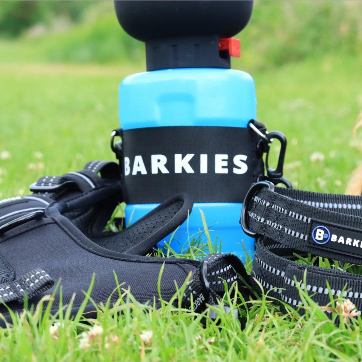 Safe and Durable Products for Every Dog