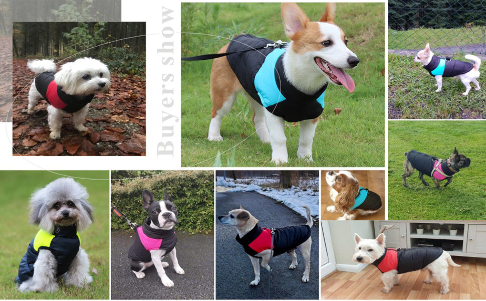 Barkies After Dark Adventures With Red LED