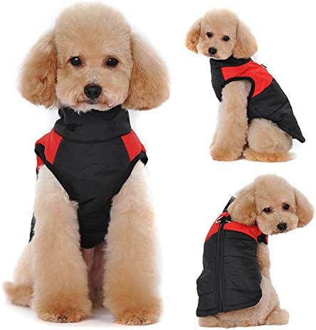 Barkies After Dark Adventures With Red LED