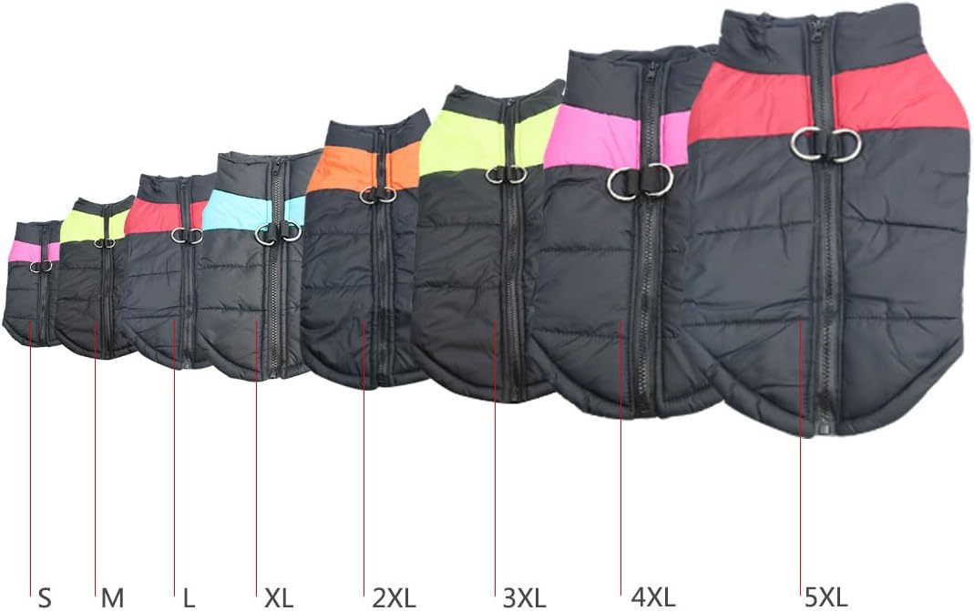 Barkies After Dark Adventures With Red LED