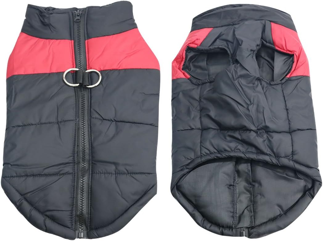 Barkies After Dark Adventures With Red LED