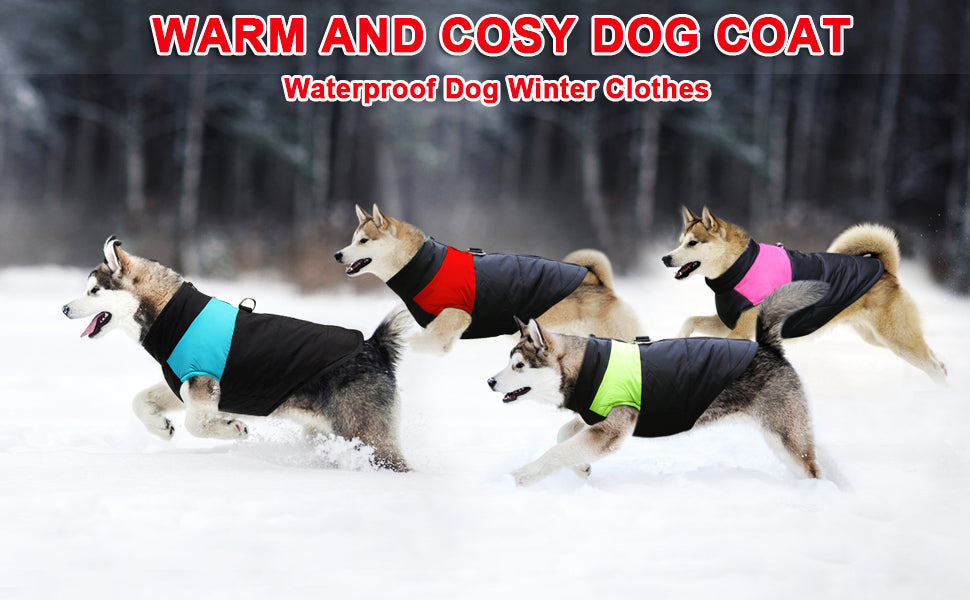 Barkies After Dark Adventures With Red LED