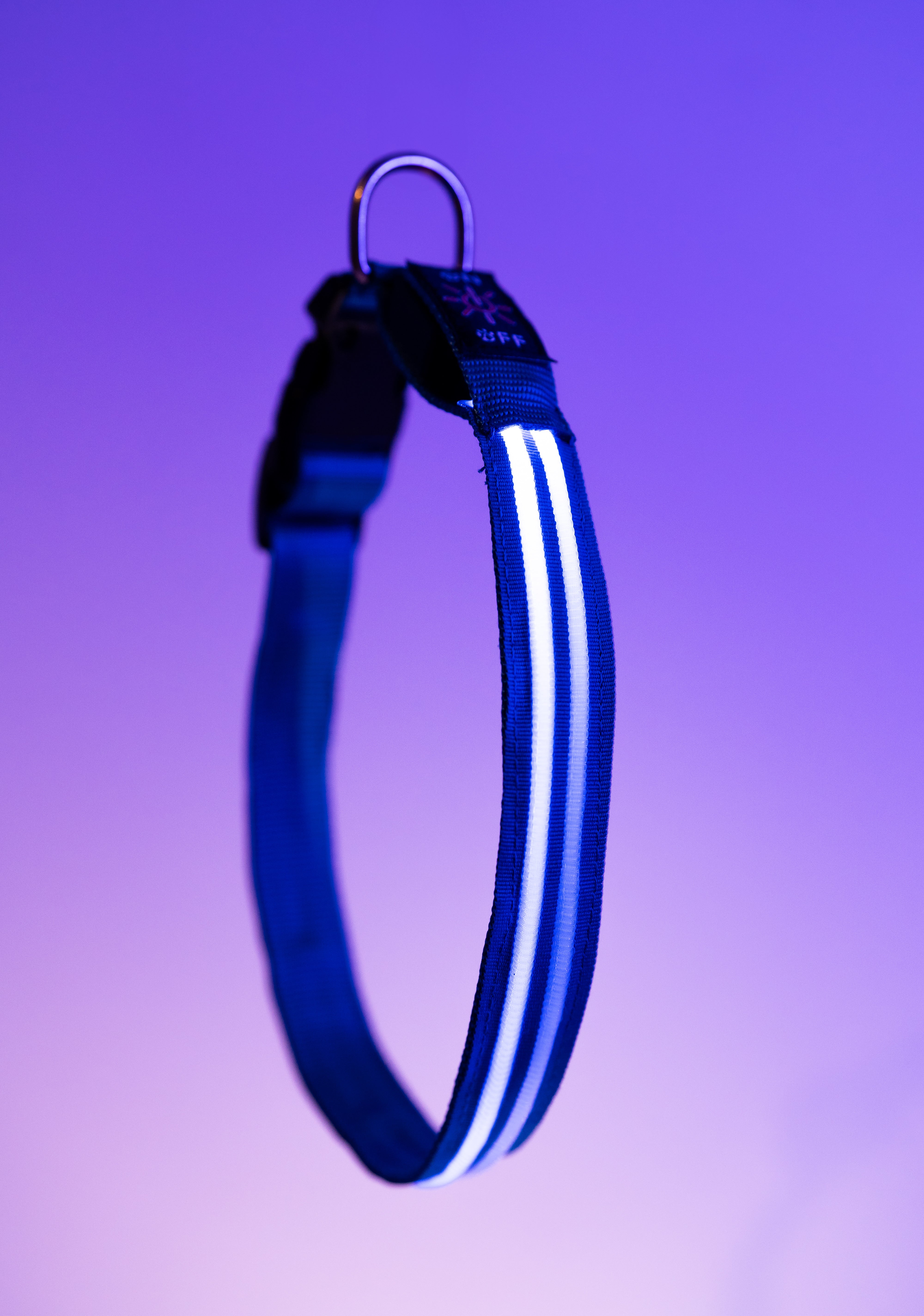 Barkies Rechargeable LED Collar