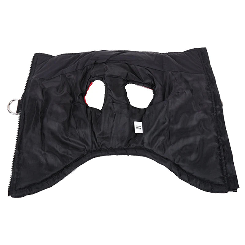 Barkies After Dark Adventures With Red LED