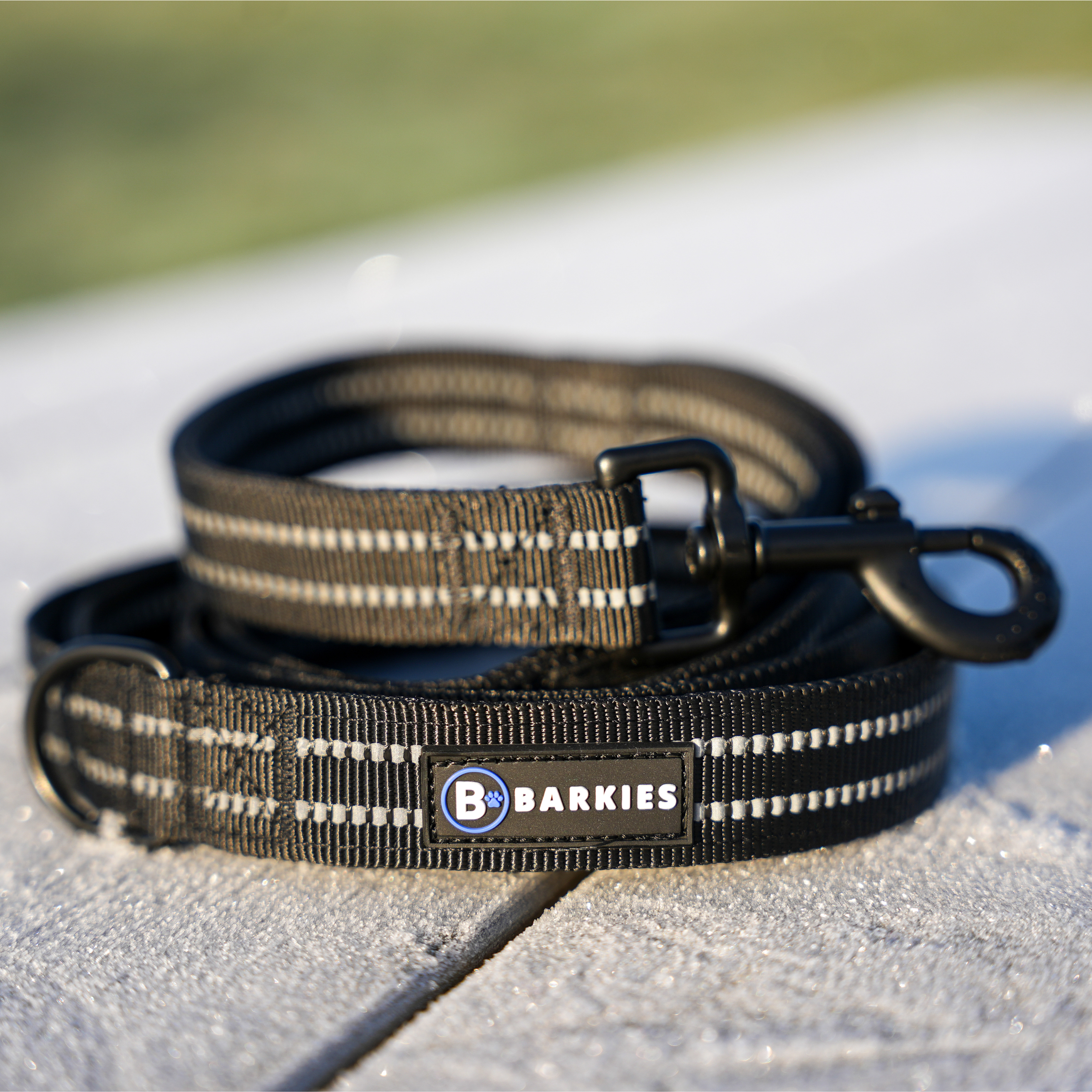 Barkies Christmas Box