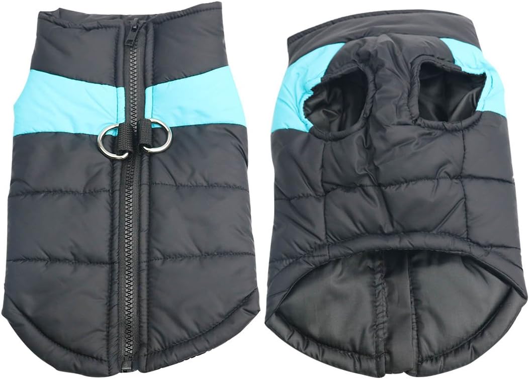 Barkies After Dark Adventures With Blue LED