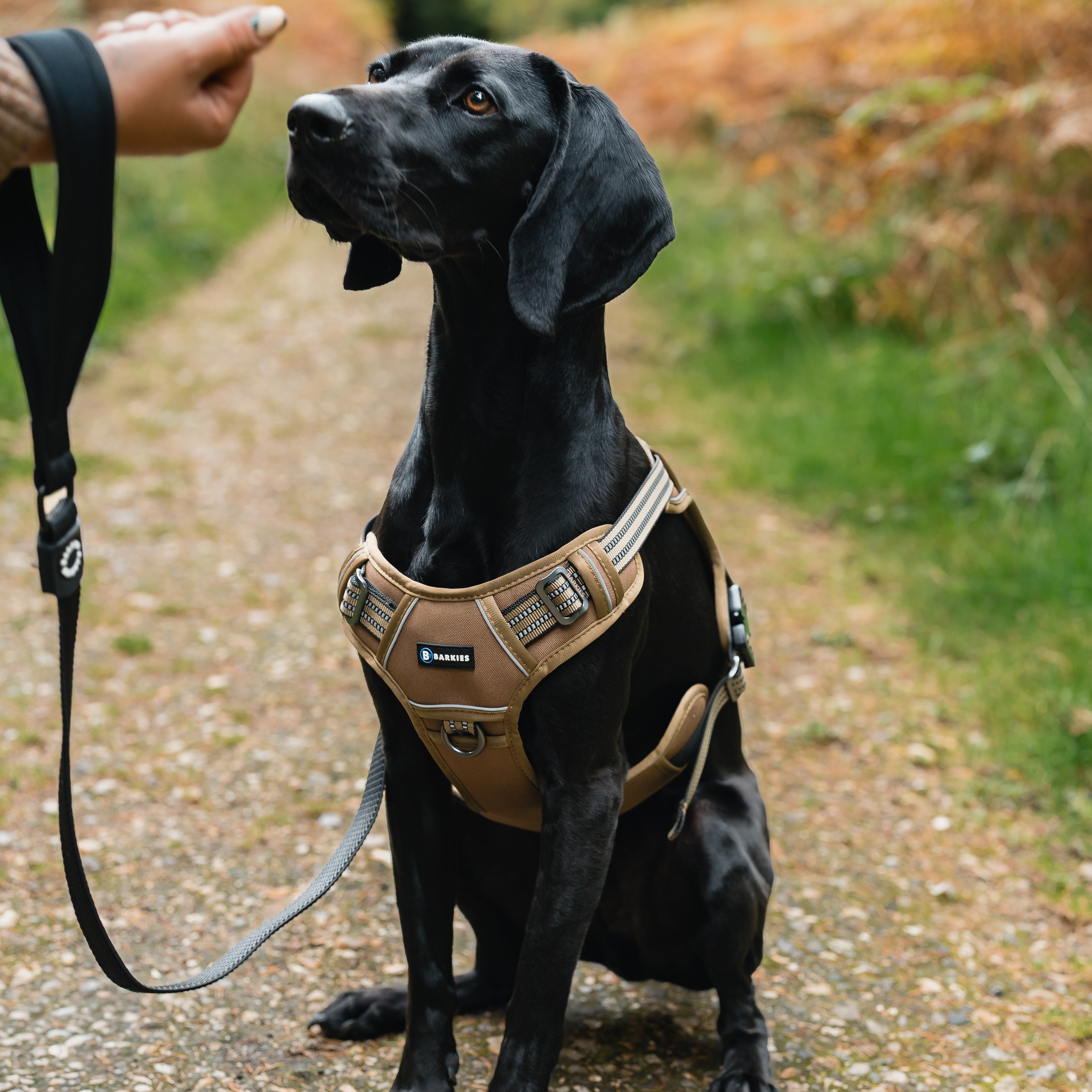 Barkies Dog Harness