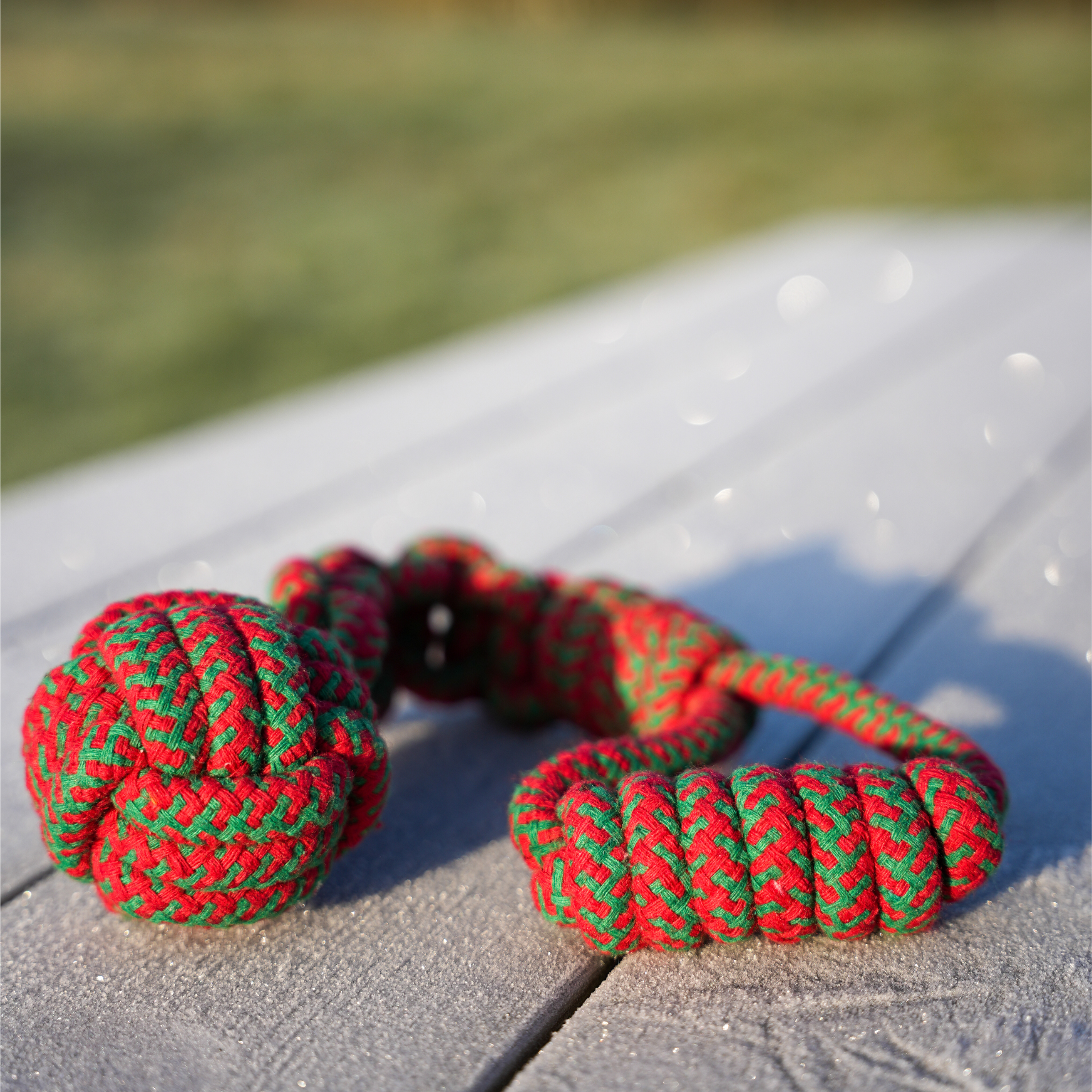 Barkies Christmas Box