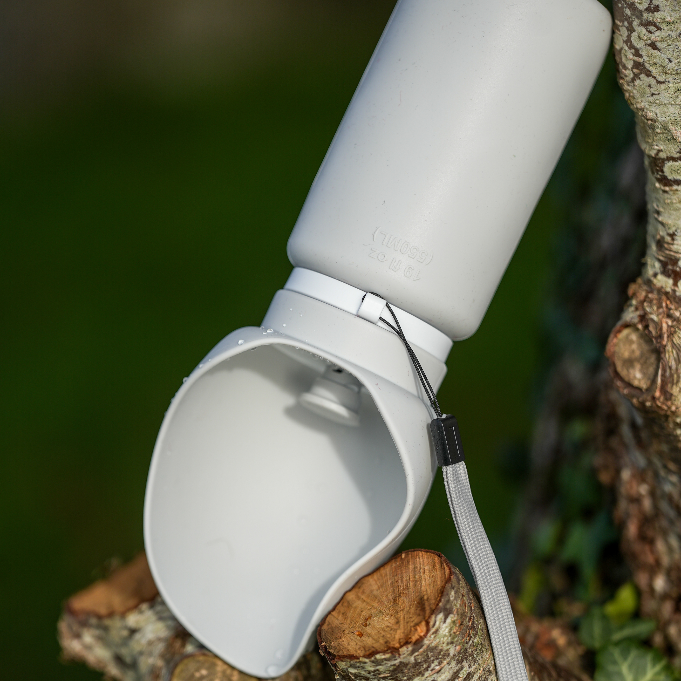 Barkies Christmas Box